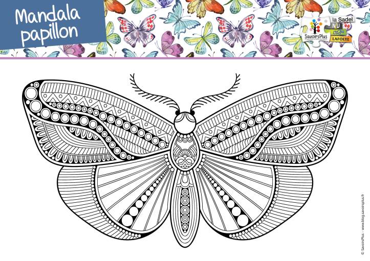 Mandala_Savoirs plus