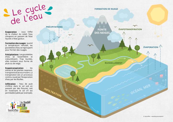 Cycle de l'eau_Savoirs plus