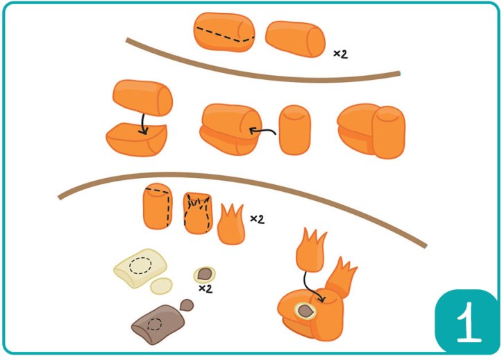 Ecureuil---Photo-étape-1