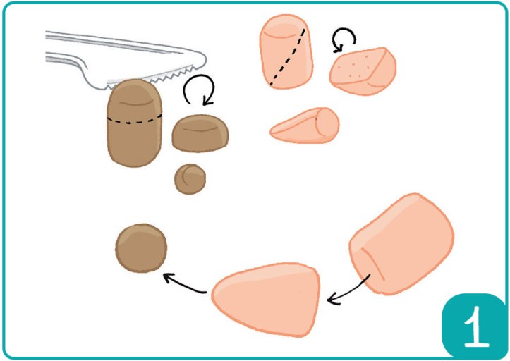 Hérisson---Photo-étape-1