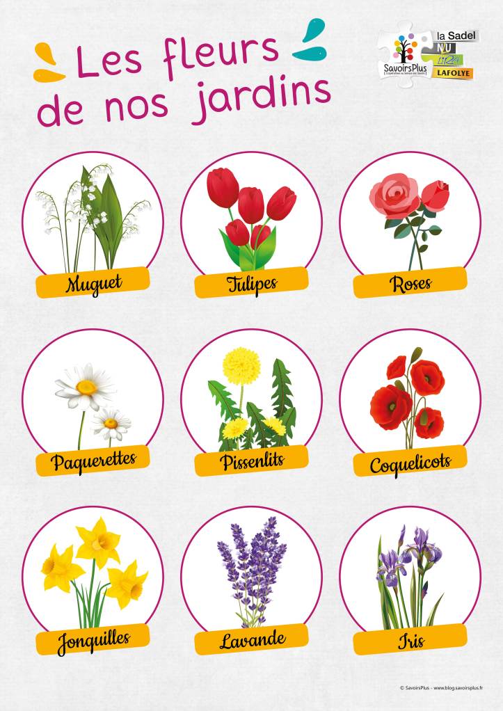 Fleurs des jardins_Savoirs plus