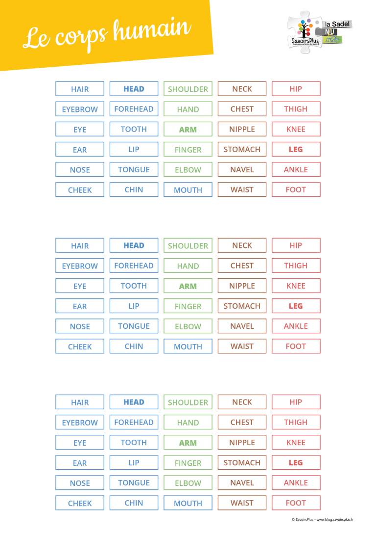 Téléchargement Le corps humain (en anglais) Le blog SavoirsPlus — free download